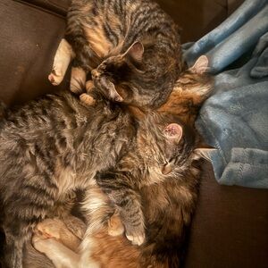 Meet your Posher, Sonja